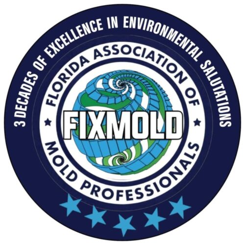 fixmold fixmold