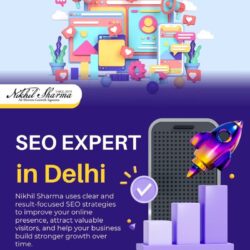 seo expert in delhi