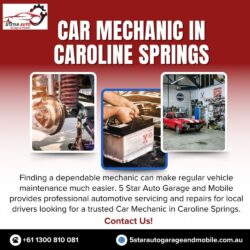 Car Mechanic in Caroline Springs