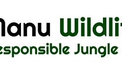 final_logo