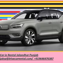 punjanjab selfdrive car