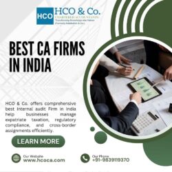 best ca firms in India