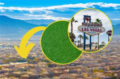 expert_landscape_planting_services_xsd38_1 expert_landscape_planting_services_xsd38_1