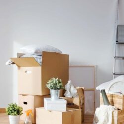 cleaning Services