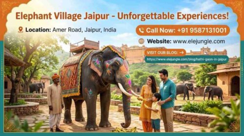 Elephant Village Jaipur Elephant Village Jaipur