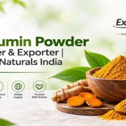 Curcumin Powder Supplier & Exporter - Extroil Naturals India