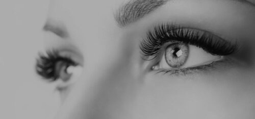 eyelash2-5 eyelash2-5
