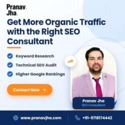 Get More Organic Traffic with the Right SEO Consultant