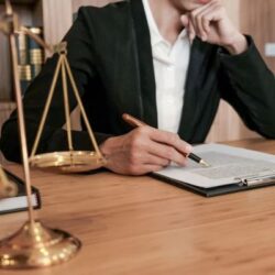 Franchise Agreement Lawyer