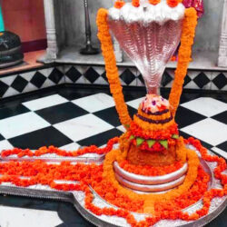 Jyotirlinga Darshan (2)