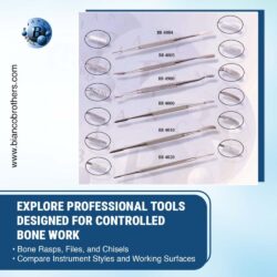 Bone Rasps - Chisels