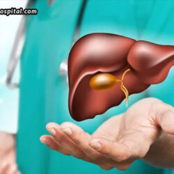 A-Complete-Guide-To-Preventing-Liver-Disease.jpg