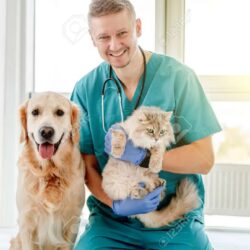 159685367-vet-with-dog-and-cat-in-clinic