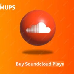 buy soundcloud plays (2)