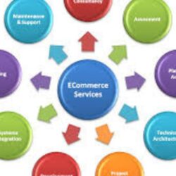 Top E-Commerce Service Providers in Noida