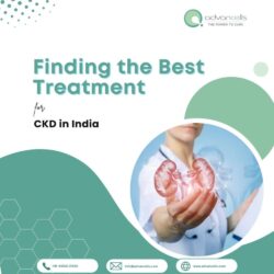 Best Treatment for CKD in India