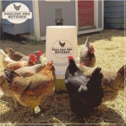 Poultry Pro Waterer