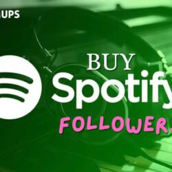 Buy Spotify followers (2)