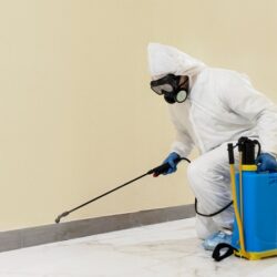 pest control 5