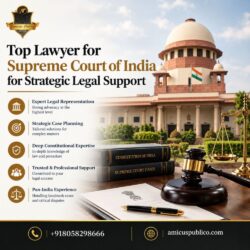Top Lawyer for Supreme Court of India for Strategic Legal Support