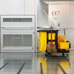 Domestic Cleaning Services