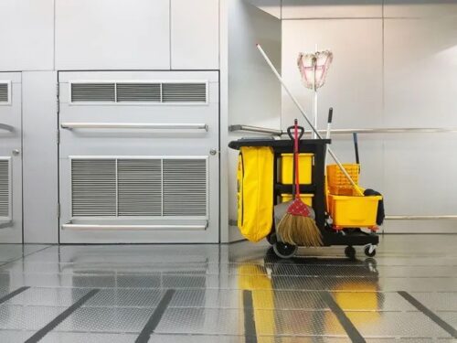 Domestic Cleaning Services Domestic Cleaning Services