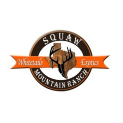 0-logo