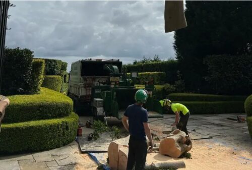 Tree Removal Mosman Tree Removal Mosman