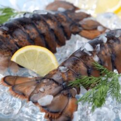 Large-Maine-Lobster-Tails-Shell-on-min.png