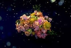 unnamed (11)