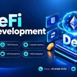 DeFi Development Company 5-100kb