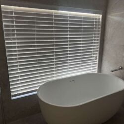 Zebra blinds