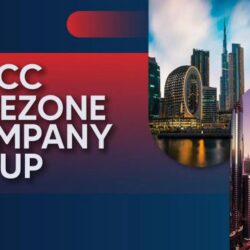 dmcc-free-zone-company-setup