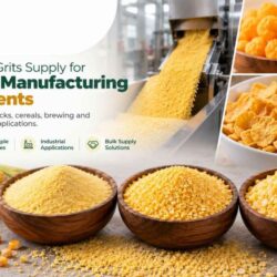 how-to-choose-best-corn-grits-supplier-india-shreeji-ingredients