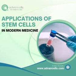 Applications of Stem Cells