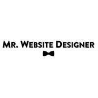 Mr. Website Designer (2) - Copy