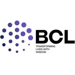 BCL Globiz Accounting and Consulting LLC