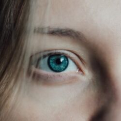 Functional Vision Assessment for Adults Who Need Clearer Data