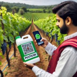 jpeg-optimizer_DALL·E-2025-03-06-20.50.09-A-16_9-image-of-an-Indian-farmer-in-a-grape-plantation-scanning-a-QR-code-on-a-bottle-of-pesticide-using-WhatsApp-on-a-smartphone.-The-farmer-dresse