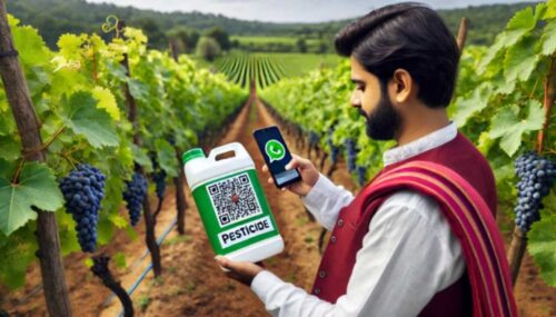 jpeg-optimizer_DALL·E-2025-03-06-20.50.09-A-16_9-image-of-an-Indian-farmer-in-a-grape-plantation-scanning-a-QR-code-on-a-bottle-of-pesticide-using-WhatsApp-on-a-smartphone.-The-farmer-dresse jpeg-optimizer_DALL·E-2025-03-06-20.50.09-A-16_9-image-of-an-Indian-farmer-in-a-grape-plantation-scanning-a-QR-code-on-a-bottle-of-pesticide-using-WhatsApp-on-a-smartphone.-The-farmer-dresse