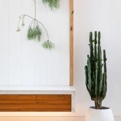 gallery+105 (1)