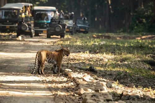 Nainital Jim Corbett Tour Package-200kb Nainital Jim Corbett Tour Package-200kb