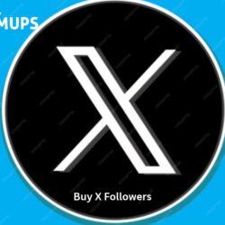 buy x followers