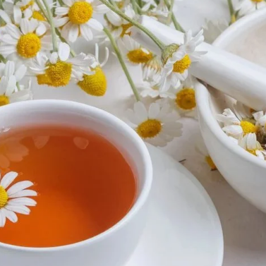 Chamomile Tea suppliers in India Chamomile Tea suppliers in India