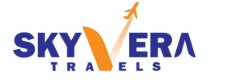 logo visa