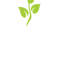 footer-logo